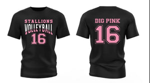 Shadow Ridge Volleyball